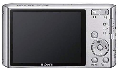 Sony Cyber-SHOT DSC-W610 14.1 Point & Shoot Camera: Buy Online at